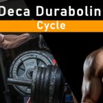 deca cycle