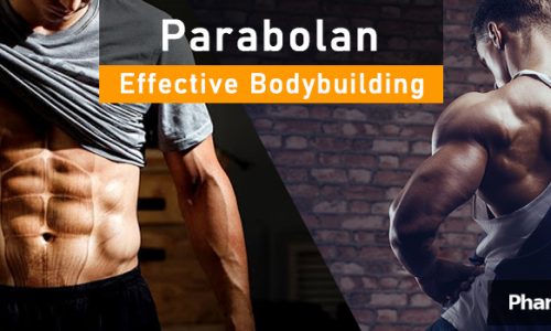 parabolan effective bodybuilding
