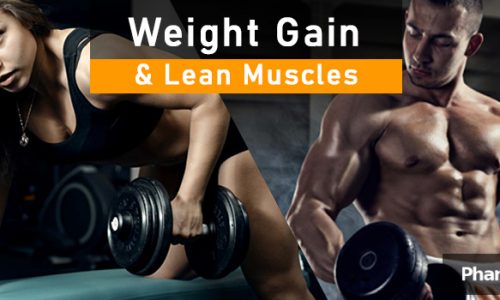 weight gain lean muscle
