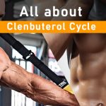 clenbuterol cycle