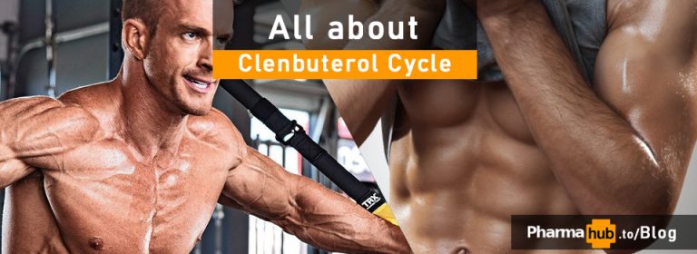 clenbuterol cycle