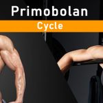 primobolan cycle (1)