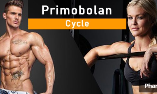 primobolan cycle (1)