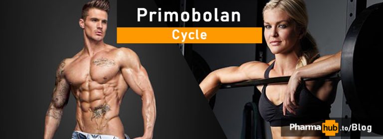 primobolan cycle (1)