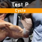 test p cycle
