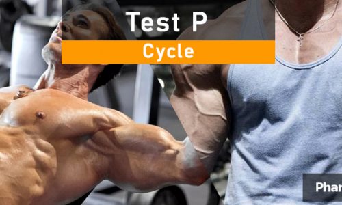 test p cycle