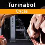 turinabol cycle (1)