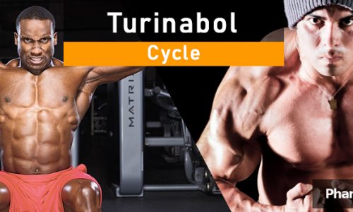 turinabol cycle (1)
