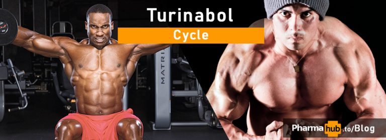 turinabol cycle (1)