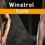winstrol cycle (1)
