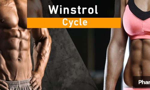 winstrol cycle (1)