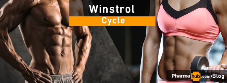 winstrol cycle (1)