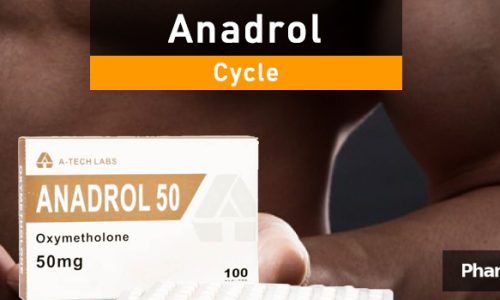 anadrol cycle