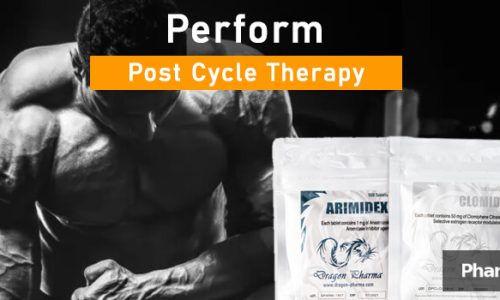 PHB blog perform pct