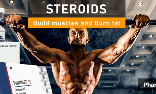 PHB blog steroid build muscle burn fat