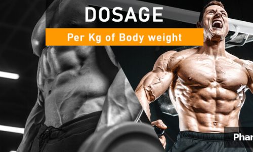 PHB blog doasge per kg for body weright