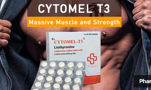 PHB blog muscle strength cytomel t3