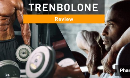 PHB blog trenbolone review