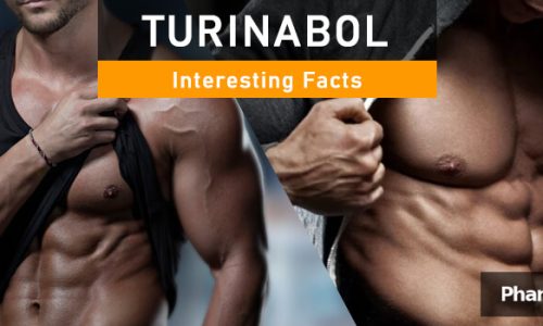 PHB blog interesting facts about turinabol