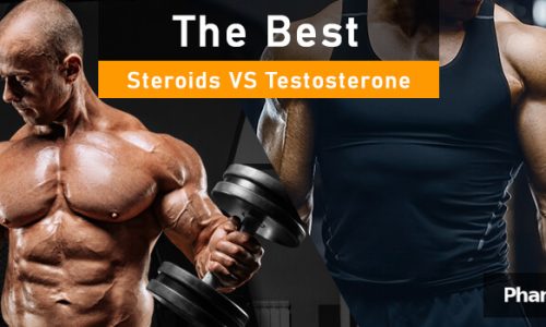 PHB blog steroids vs testosterone