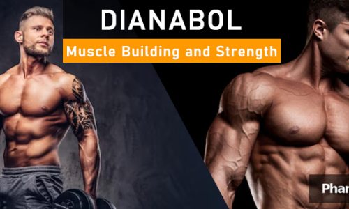 PHB blog muscle strength