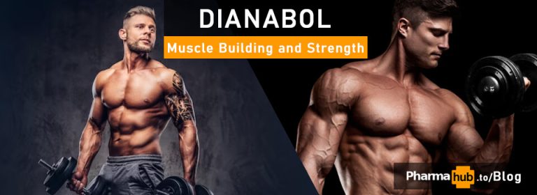 PHB blog muscle strength