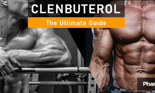 PHB blog clenbuterole the ultimate guide