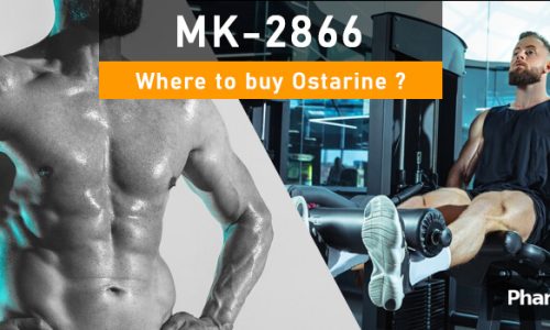 PHB blog where to buy ostarine