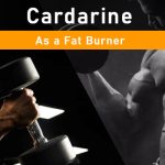 PHB blog Cardarine as a Fat Burner