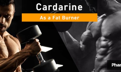 PHB blog Cardarine as a Fat Burner