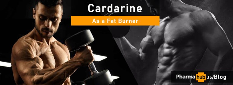 PHB blog Cardarine as a Fat Burner
