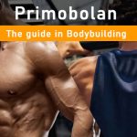 PHB blog primobolan methenolone in bodybuilding