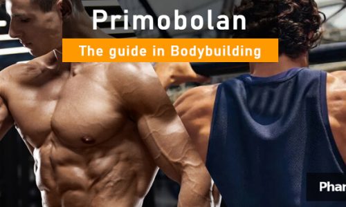 PHB blog primobolan methenolone in bodybuilding