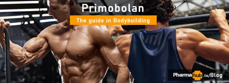 PHB blog primobolan methenolone in bodybuilding