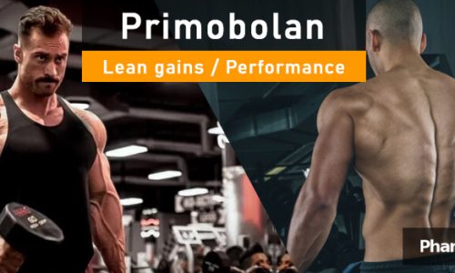 PHB blog up primobolan lean gains and enhanced performance