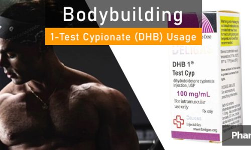 PHB blog dhb test cyp bodybuilding